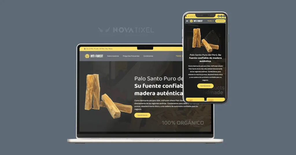 Diseño de Páginas Web en Lima Peru Servicio Novatixel