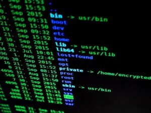 Velocidad y seguridad: claves para que tus clientes compren tranquilos