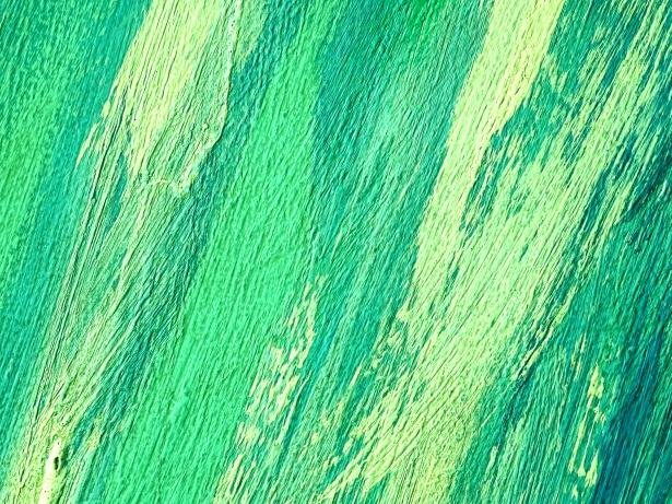 Colores y tipografías que resaltan la identidad peruana sin perder onda moderna